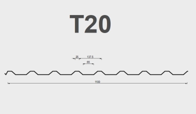 T20